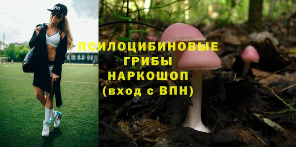 мдпв Елизово