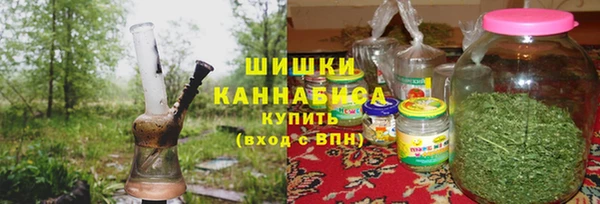 круглые Ельня