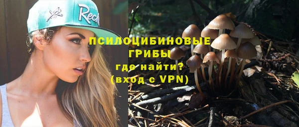 круглые Ельня