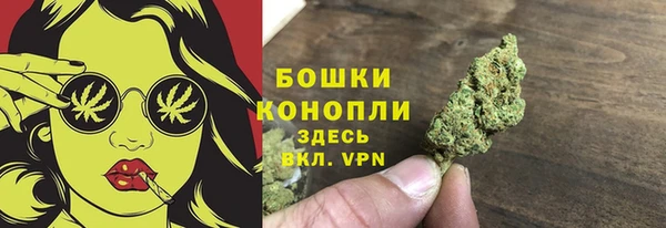 мдпв Елизово