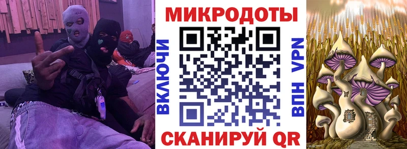 Купить где  Балей  Псилоцибиновые грибы Psilocybine cubensis 